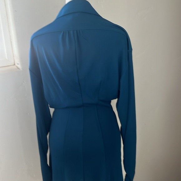 Cinq a Sept brand new dress. Long ruched sleeve. Beautiful Laguna color - Picture 4 of 7